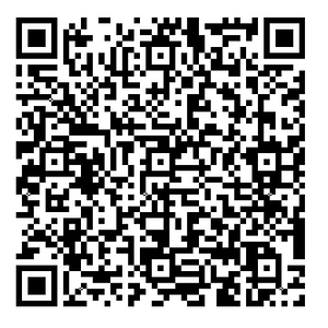 QR version