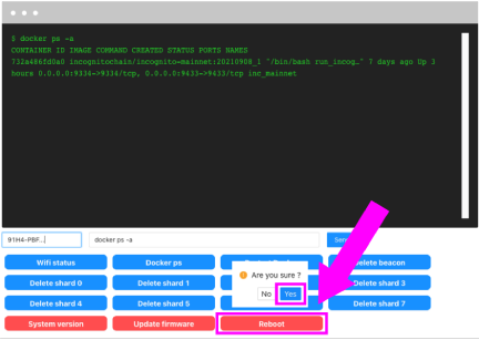 pNode Reboot Option